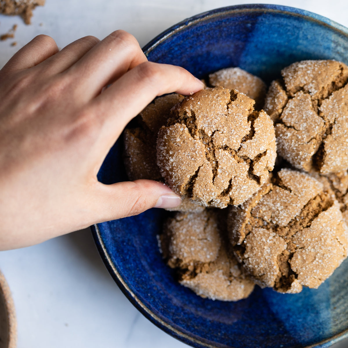 Egg-Free Molasses Cookies | Grain-Free, Gluten-Free, Nut-Free – Otto's Naturals