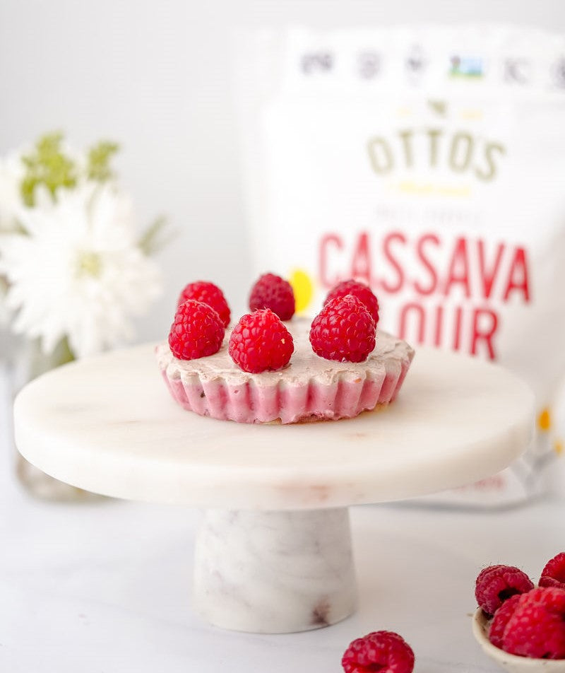 Chocolate Raspberry Cheesecake Tarts | Grain-Free, Gluten-Free, Vegan ...