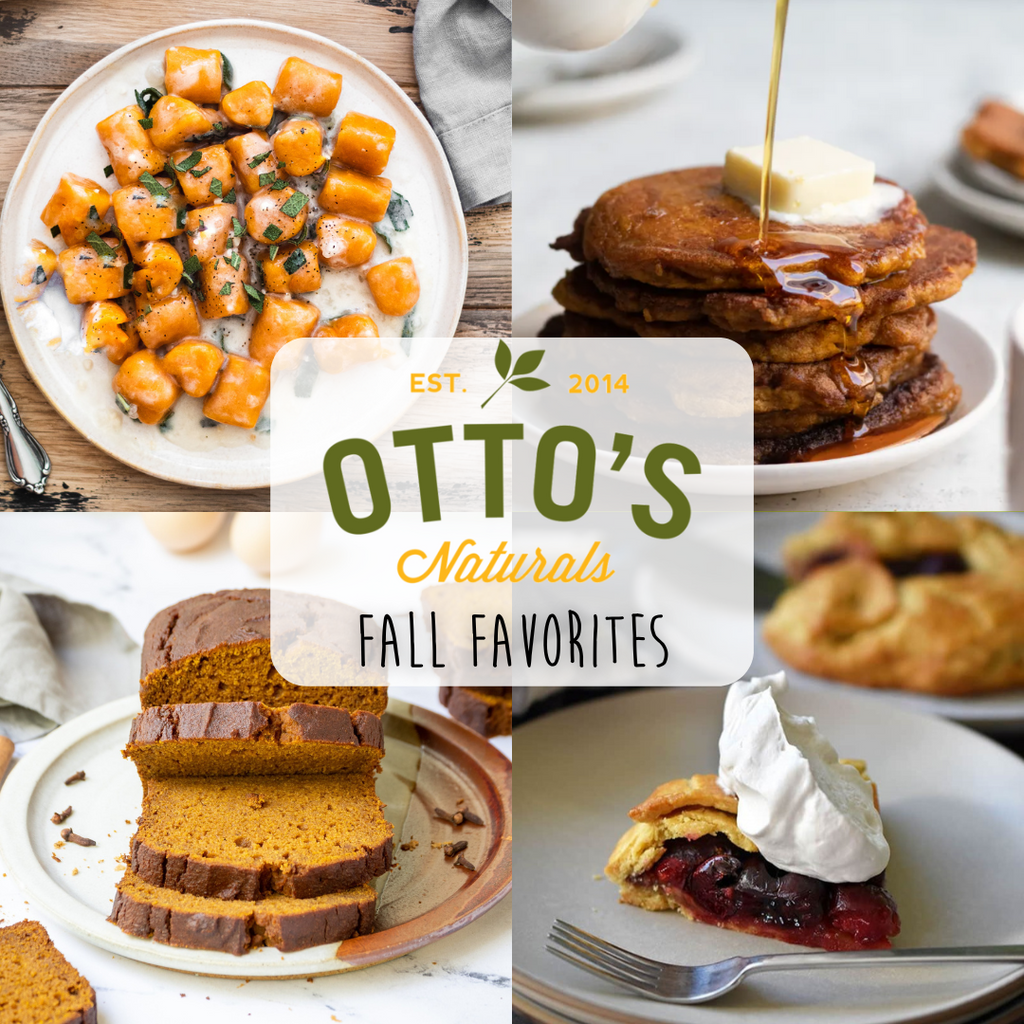 Otto’s Fall Favorites